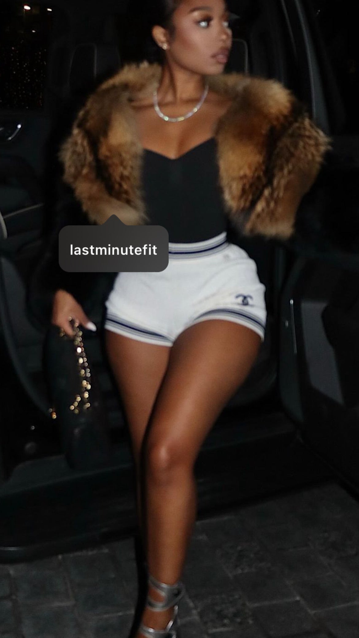 The Vixen fur