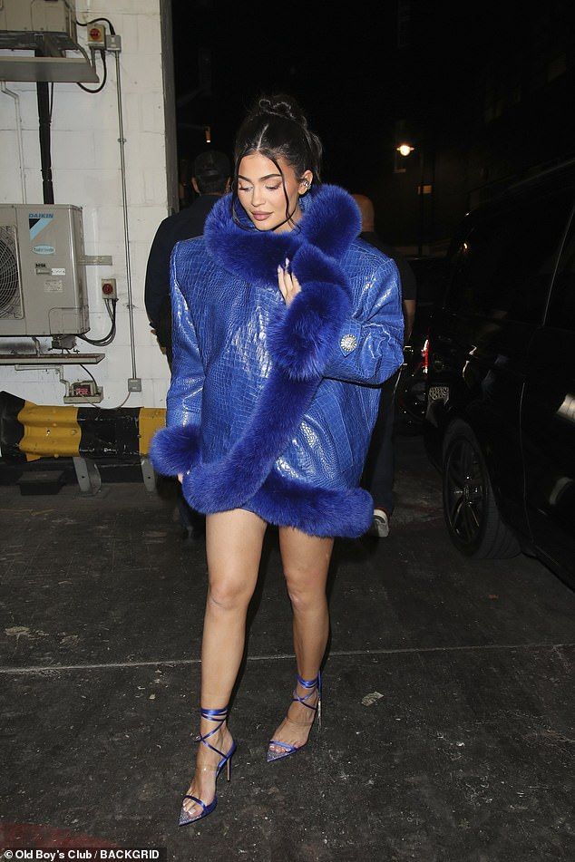 Harper’s Bizarre fur